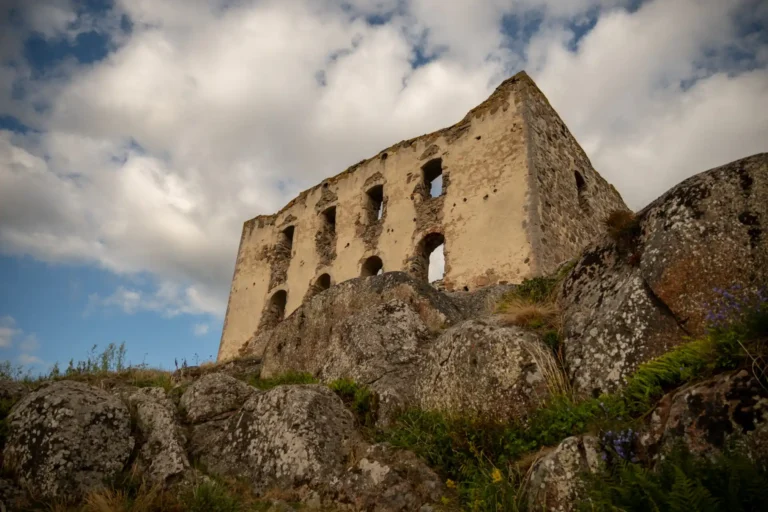 Brahehus sett från väst.