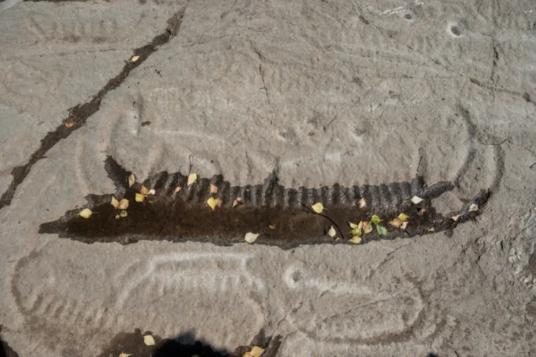 En hällristning i form av ett skepp.