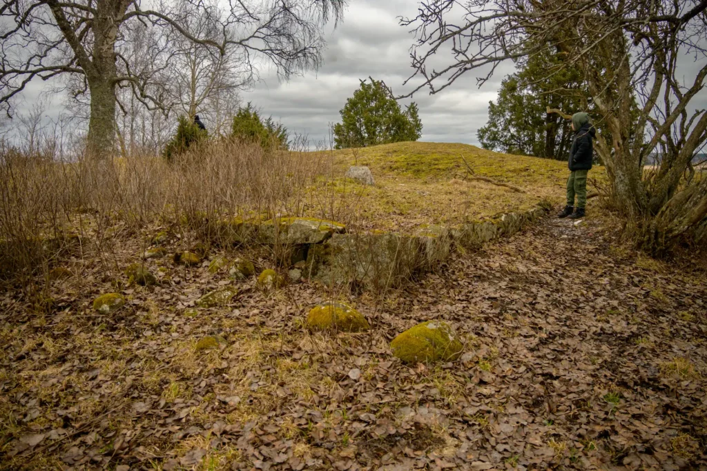 Besökare betraktar naturen på Vånsjöbroåsen, omgiven av vintergula gräser och stenar, med en tät skog i bakgrunden.