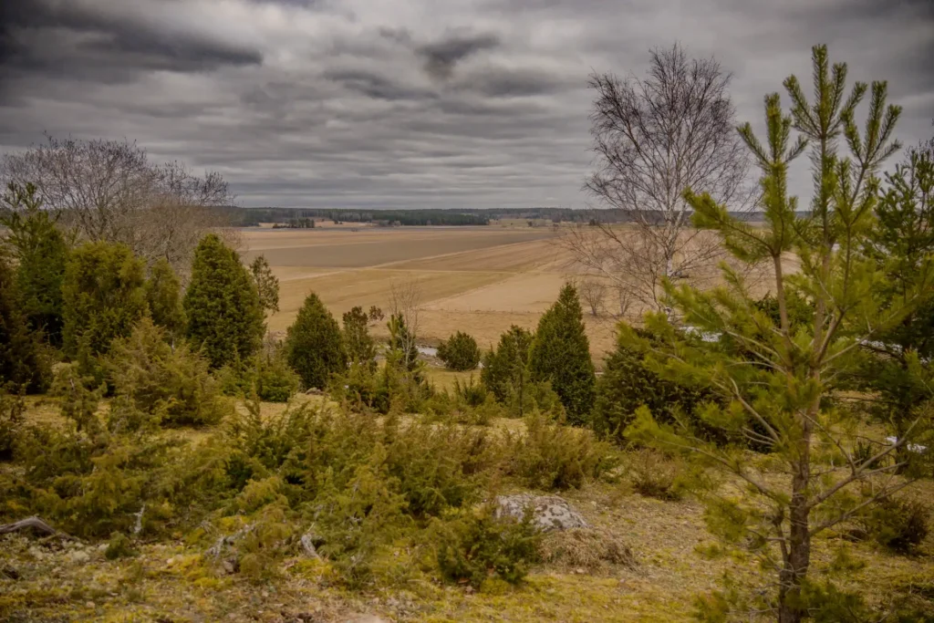 Vy över de öppna fälten från Vånsjöbroåsen med förgrund av gröna buskar och en grå molnig himmel.