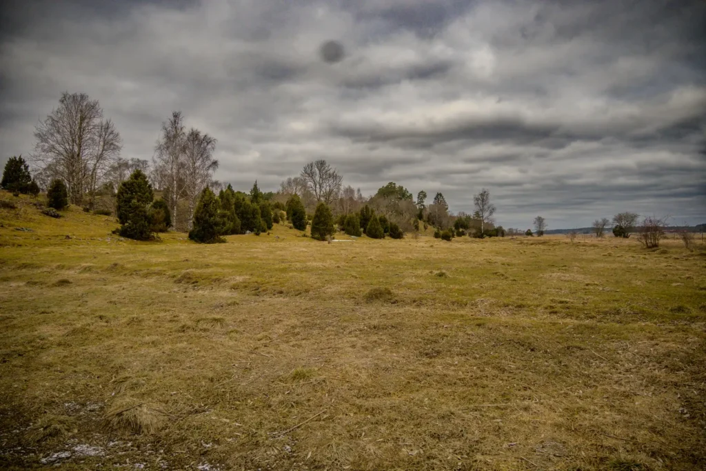 Öppet fält på Vånsjöbroåsen med vild natur och en molnig himmel, som skildrar det typiska landskapet i Torstuna.